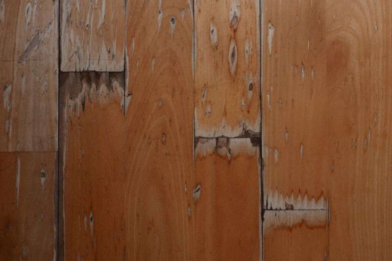 Subfloor Repair Can Prevent Further Damage